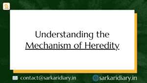 Understanding the Mechanism of Heredity
