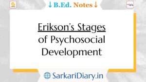 Erikson's Stages of Psychosocial Development